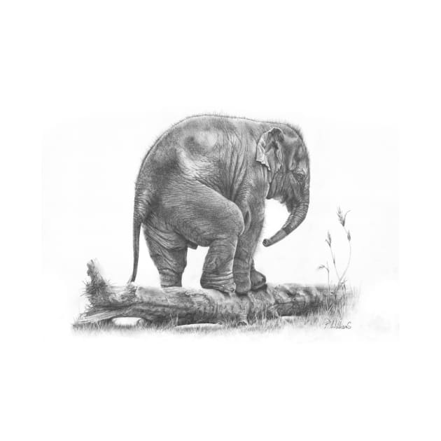 The Little Big Man - Elephant calf pencil drawing by Mightyfineart
