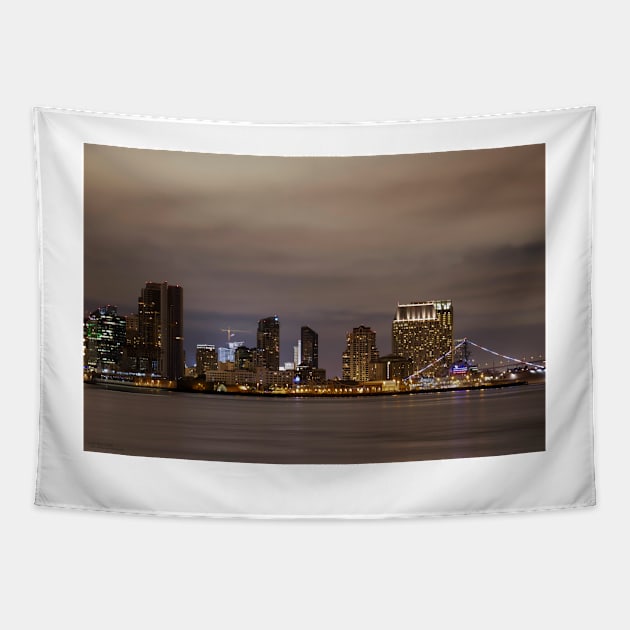 San Diego Skyline - 2 © Tapestry by PrinceJohn