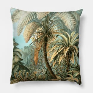 Filicinae by Ernst Haeckel Pillow