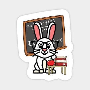 Funny Rabbit is teaching Magnet