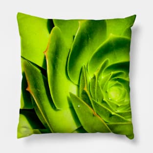 Succulent Darkside Pillow