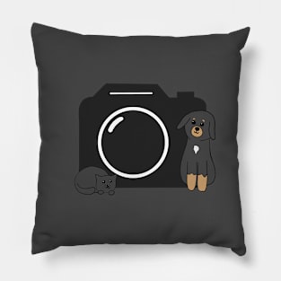 Dog, Cat and Camera Pillow