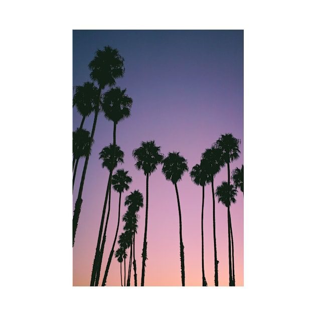 Purple Sunset Palm Trees by NewburyBoutique