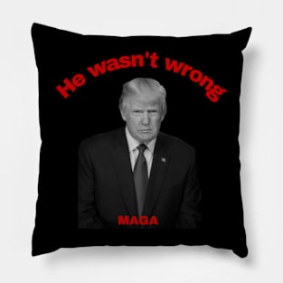 He wasn't wrong! Pillow