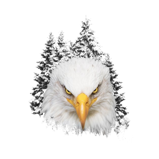 Great bald eagle head in background of snowy pine trees by Ariela-Alez