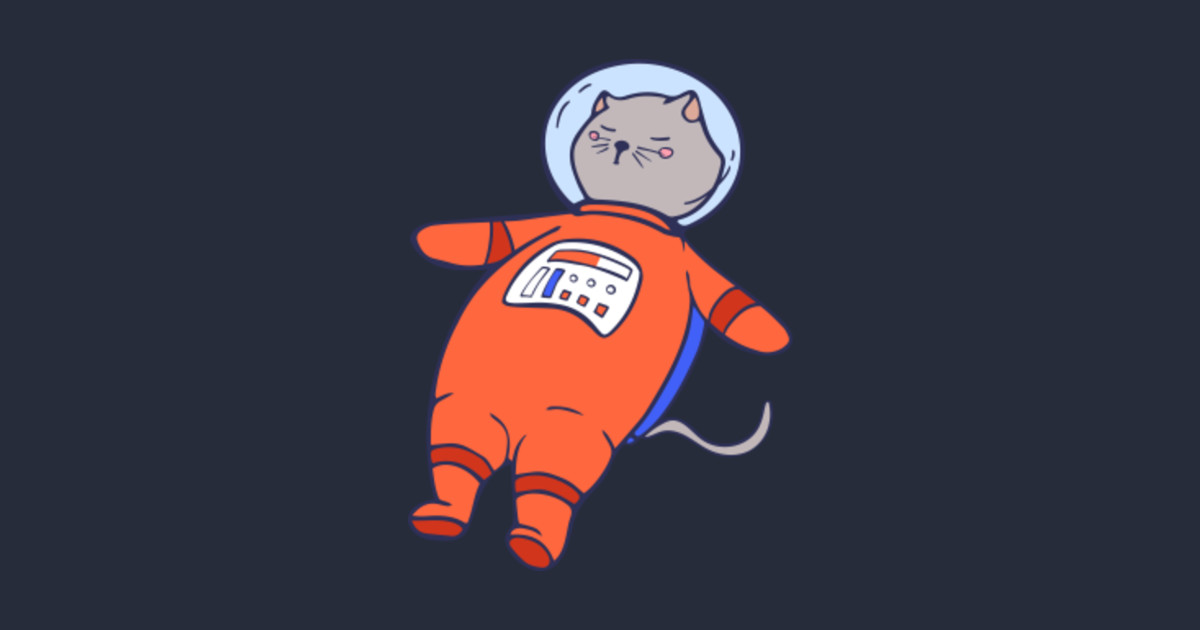 cat astronaut squishmallow