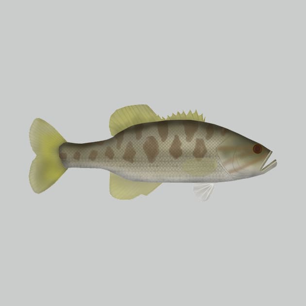 Guadaloupe bass by FishFolkArt