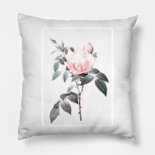 Rose Pillow