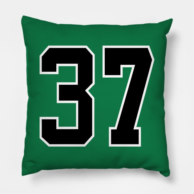 Number 37 Pillow by colorsplash