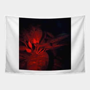 Redish Caladium Bicolour Tapestry