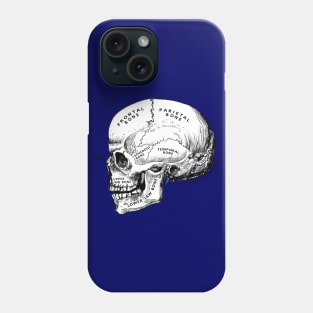 skull - anatomy Phone Case