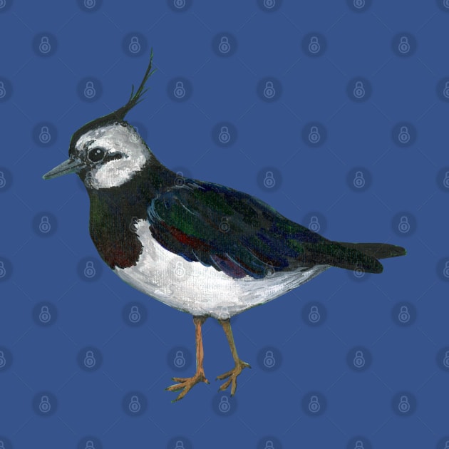 An acrylic painting of a Northern lapwing by Bwiselizzy