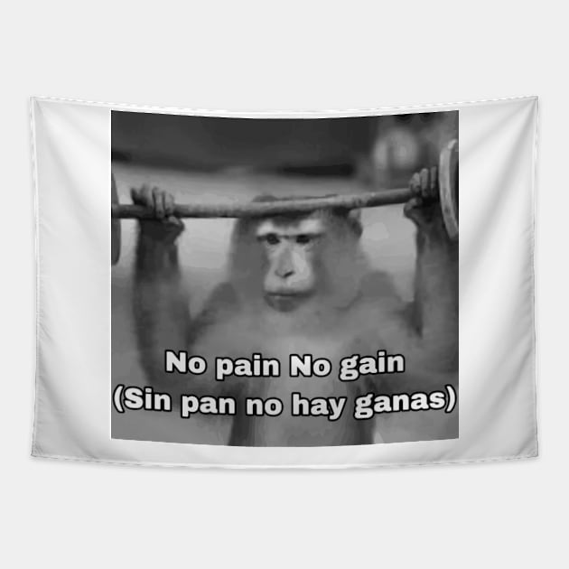 No Pain No Gain Worst Translation Ever b/w Tapestry by Ignition