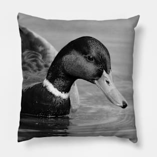 Mallard Duck Monday Pillow