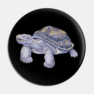 Tortoise Pin