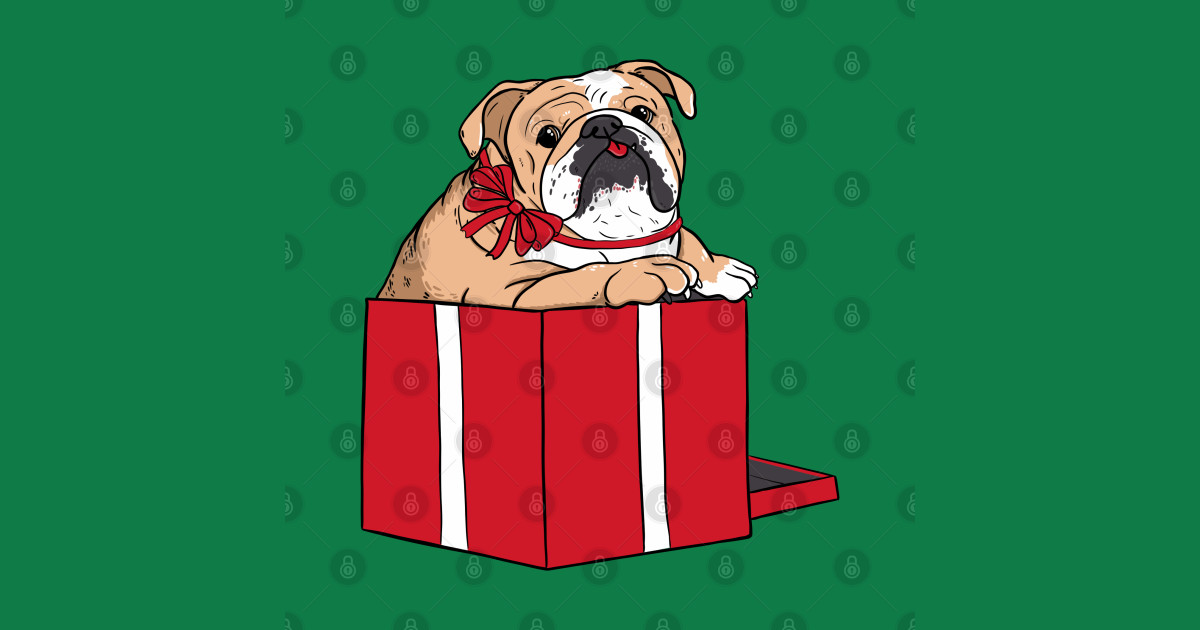 Illustrated cute english Bulldog jumping out of a red present box