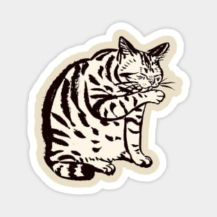 cute cats Magnet