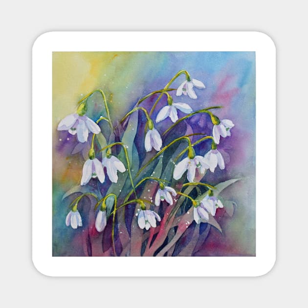 Snowdrops (Early Spring) Magnet by bevmorgan