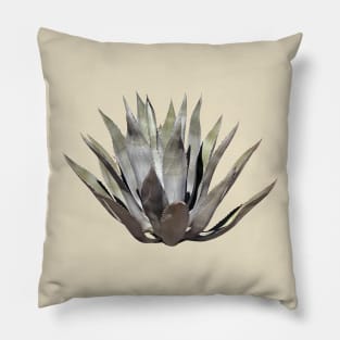 Cactaceae Plant Flower Agave Pillow