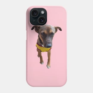 Ting Ting Funny Cute Puppy Phone Case