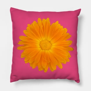 Sunny orange gerbera Pillow