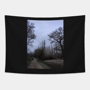 France, Winter Day Tapestry