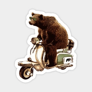 bear riding a vespa scooter Magnet