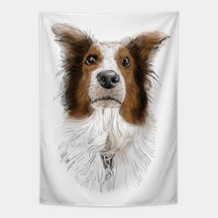 Australian Shepard, Aussie Tapestry