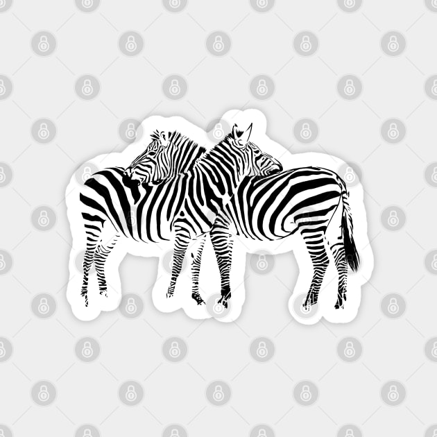 Zebra Magnet by sibosssr