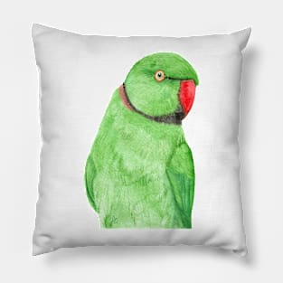 Rose-ringed parakeet or ring-necked parrots watercolor - bird painting Pillow