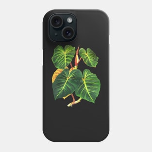 Philodendron verrucosum botanical illustration Phone Case