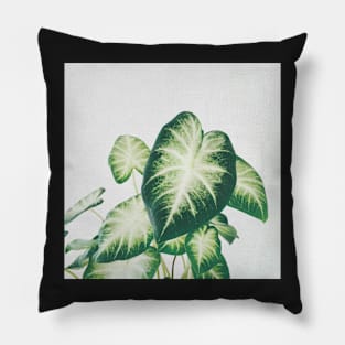 Cluster of Leaves II Pillow