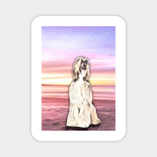 Afghan Hound In Sunset Magnet