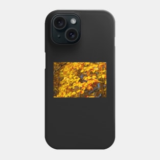 Autumn leaves, leaf color, beech, tree Phone Case