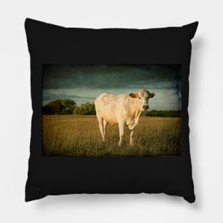 Bullock#7 Pillow