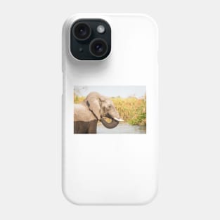 African Bush Elephant Feeding In River Phone Case