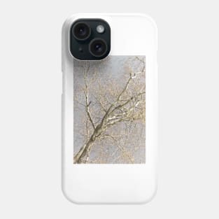 For The Love Of Trees - 4 © Phone Case