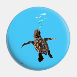 Baby Turtle Pin