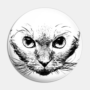 Devon rex Pin