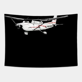 Cessna 172 Tapestry