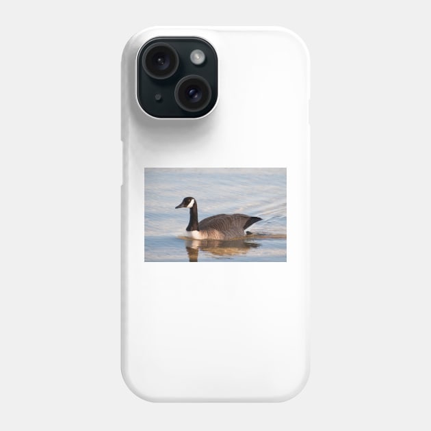 Gray Phone Case by gdb2