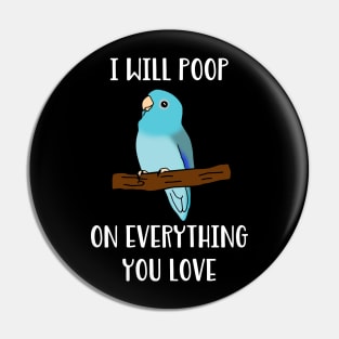 blue fallow parrotlet will poop on everything you love Pin