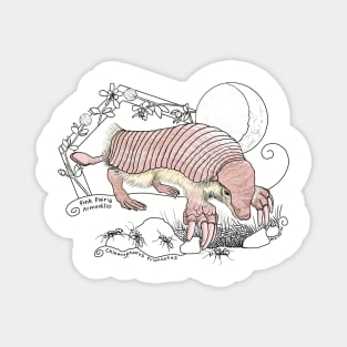 A Pink Fairy Armadillo under the moon - lavender background Magnet