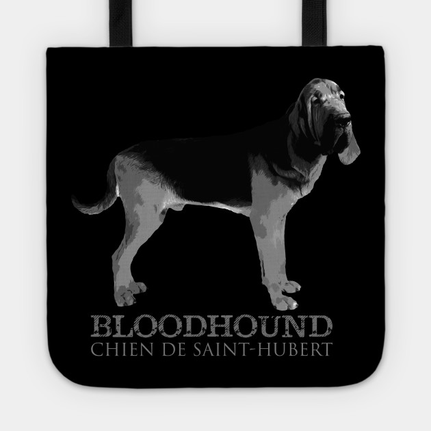 Bloodhound Size Chart