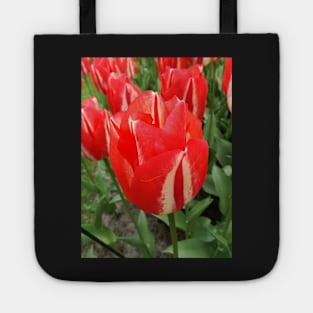 Red, in all its glory Tote