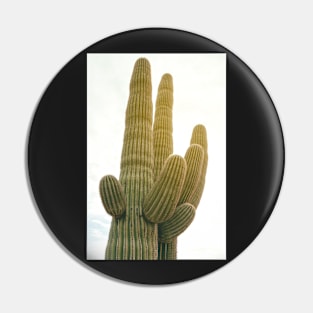 Saguaro Pin