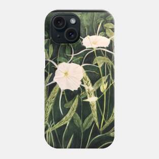 Swamp Spider Lilly Phone Case