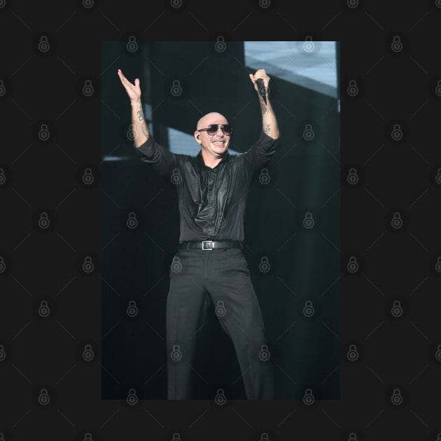 Pitbull Photograph by Concert Photos