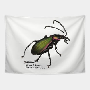 Beautiful Ground Beetle Tapestry