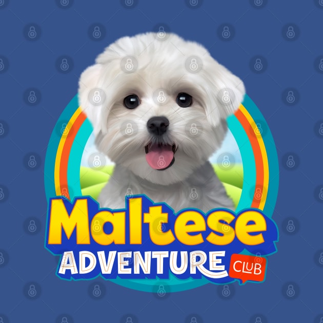 Maltese dog by Puppy & cute